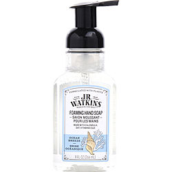 Image of J.R. Watkins by J.R. Watkins Ocean Breeze Foaming Hand Soap -266ml/9OZ for UNISEX