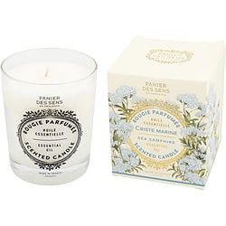Panier Des Sens Sea Samphire by Panier Des Sens SCENTED CANDLE 6 OZ for UNISEX