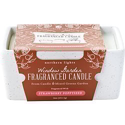 سعر ومواصفات Window Garden Strawberry Poppyseed by Northern Lights FRAGRANCED CANDLE 16 OZ for UNISEX من متجر FragranceNet.com