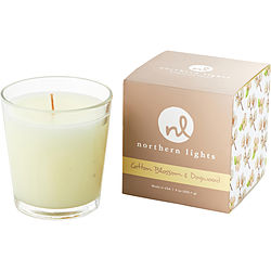 Cotton Blossom & Dogwood by Northern Lights WHITE CANDLE 9 OZ for UNISEX