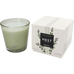 Nest Wild Mint & Eucalyptus by Nest 3 WICK CANDLE 21.1 OZ for UNISEX
