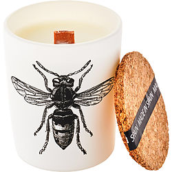 Calabrone by Vila Hermanos SCENTED CANDLE 2.64 OZ for UNISEX